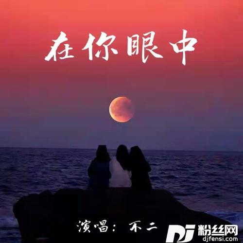 在你眼中