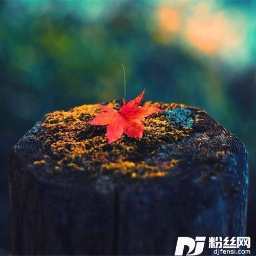 情歌王！cover:古巨基的专辑