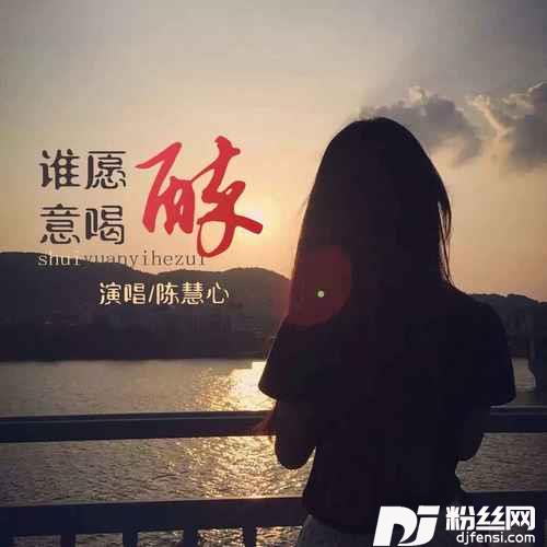 谁愿意喝醉DJ默涵版