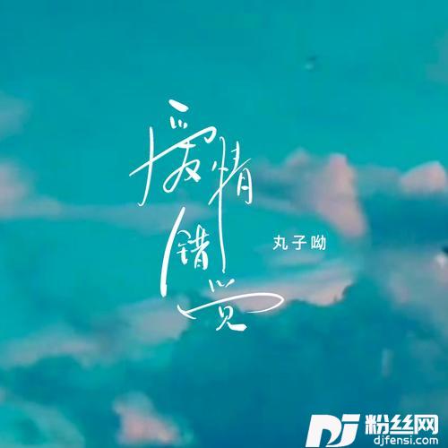 爱情错觉丸子版