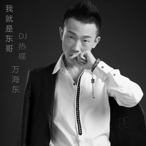 我就是东哥Remix的专辑