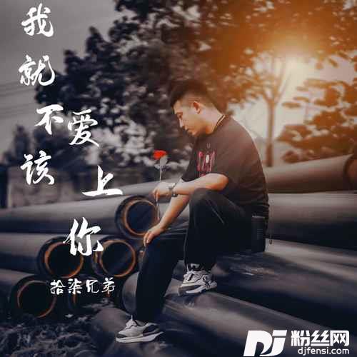 不该爱上你的专辑