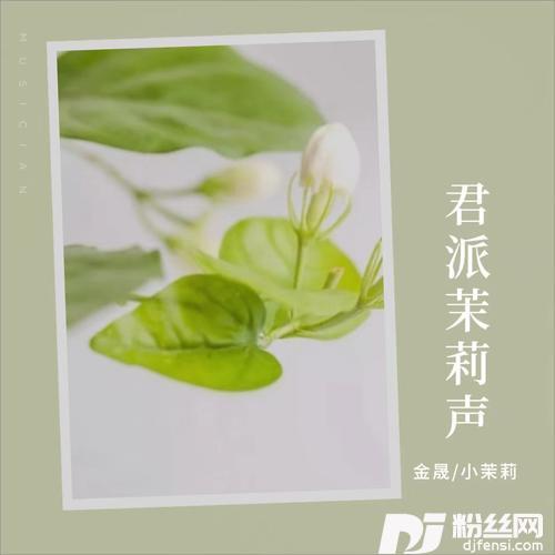 梨花飘cover:星月组合