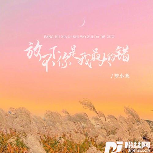 放不下你是我最大的错DJ版的专辑