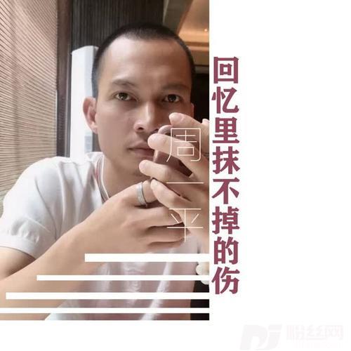 回忆里抹不掉的伤的专辑