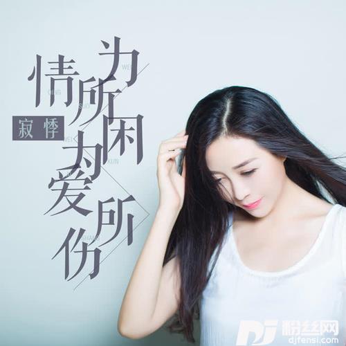 为情所困为爱所伤Dj版