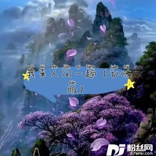 我来人间一趟乱嗨版的专辑