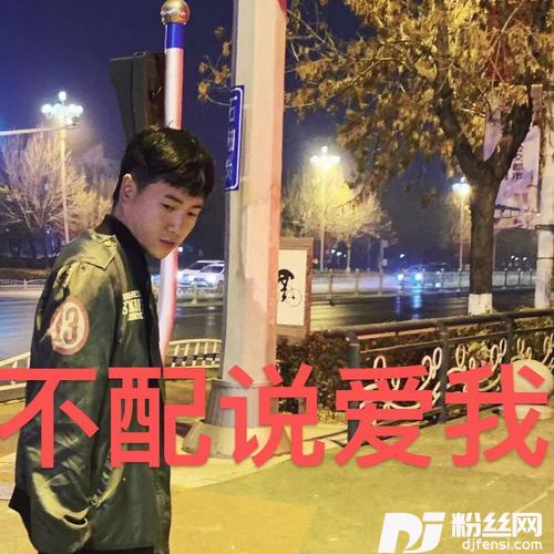 不配说爱我cover:半吨兄弟