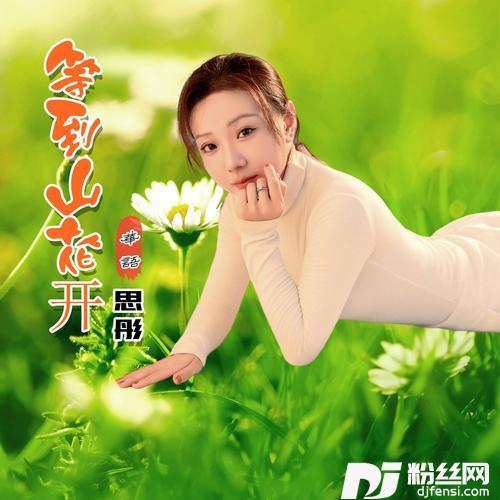 等到山花开的专辑