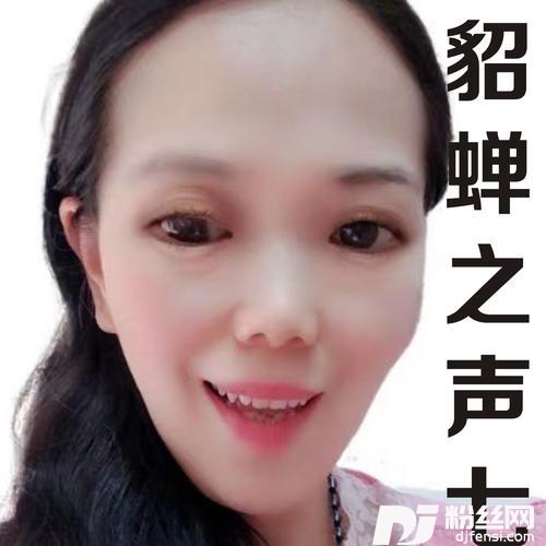 花瓣雨纷飞cover:海鸟飞鱼