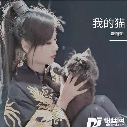 我的猫