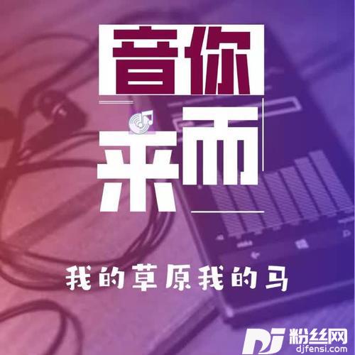 我的草原我的马