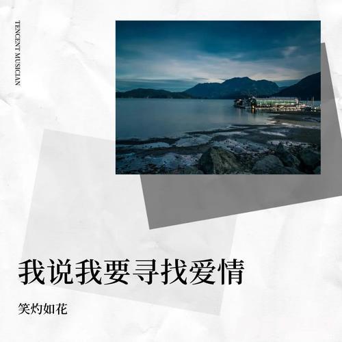 我说我要寻找爱情