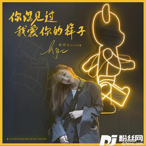 你没见过我爱你的样子