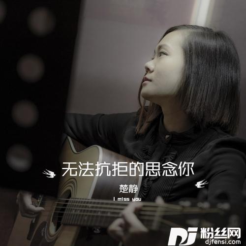 无法抗拒的思念你的专辑
