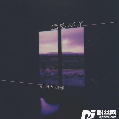 适应孤单的专辑