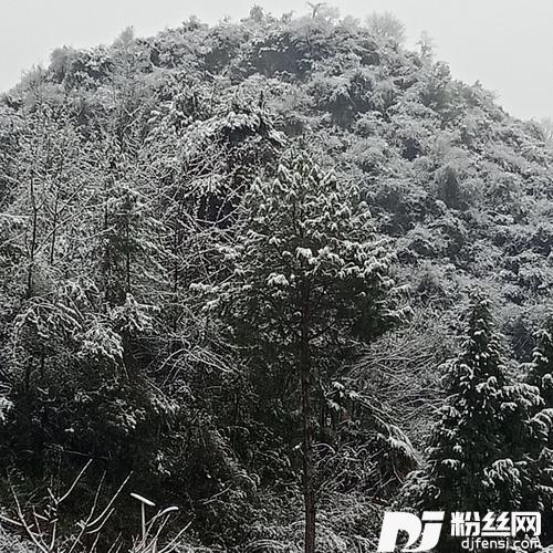 惜别的海岸cover:大哲的专辑
