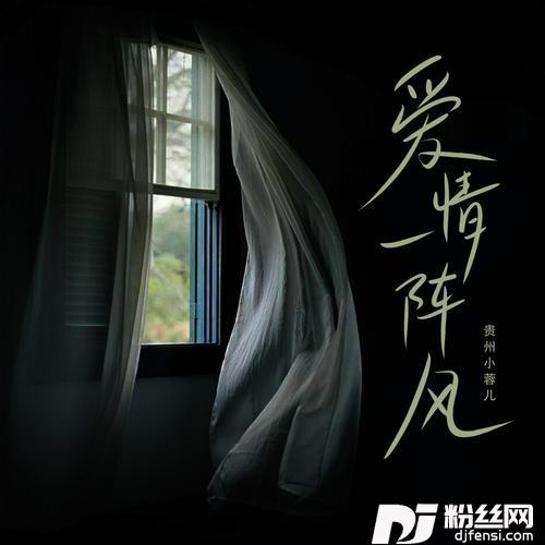 爱情一阵风DJ豪大大版