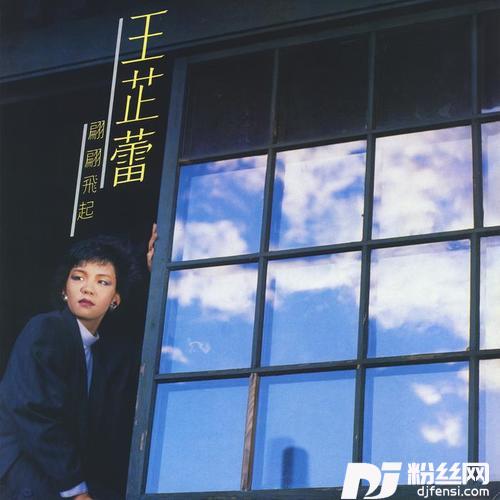 翩翩飞起