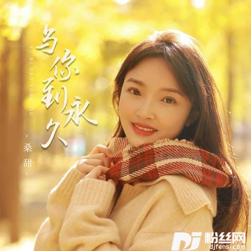与你到永久DJ版