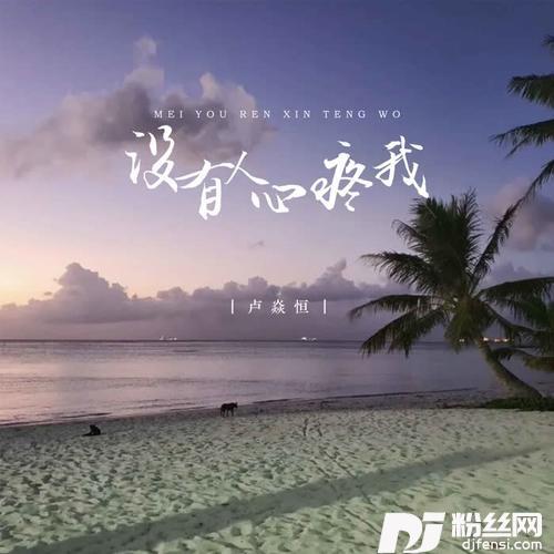 没有人心疼我