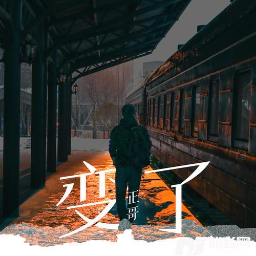 变了的专辑