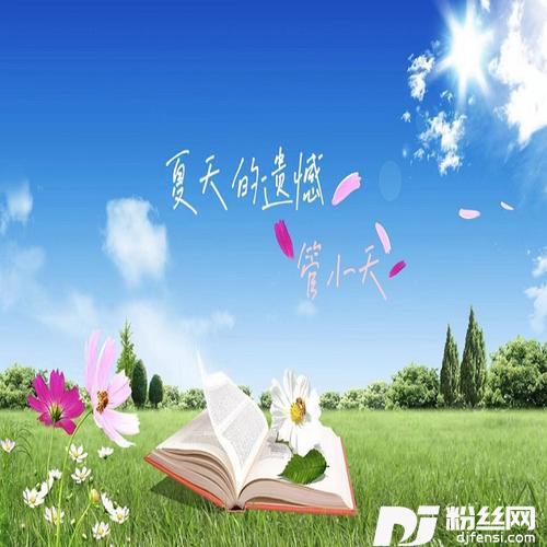 夏天的遗憾BGM