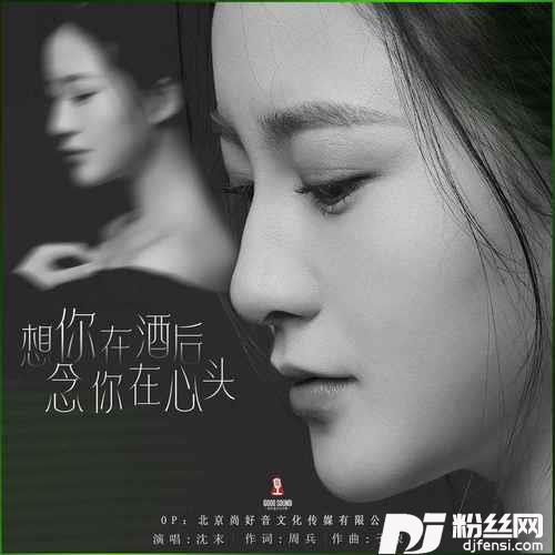 想你在酒后念你在心头DJ默涵版