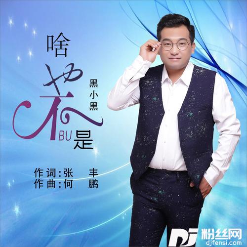 啥也不是DJ何鹏版