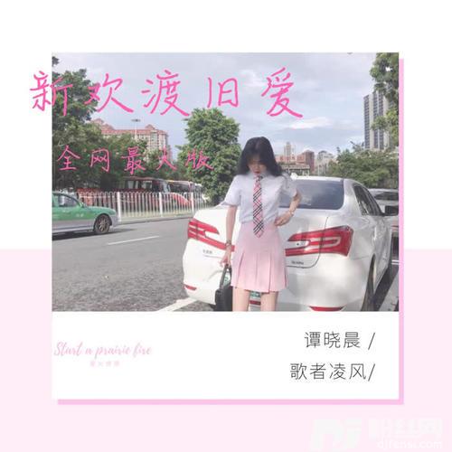 新欢渡旧爱全网最火