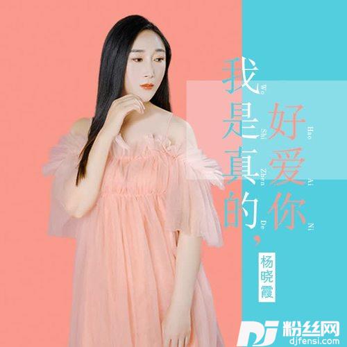 我是真的好爱你（DJ沈念版）