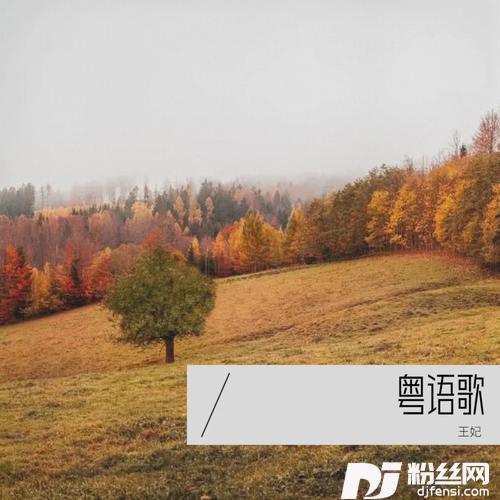 归来吧cover:陈慧娴