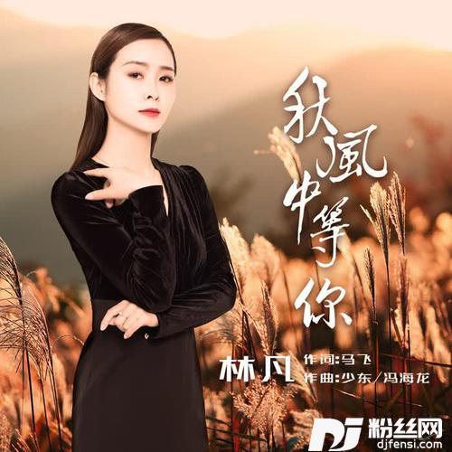 秋风中等你的专辑