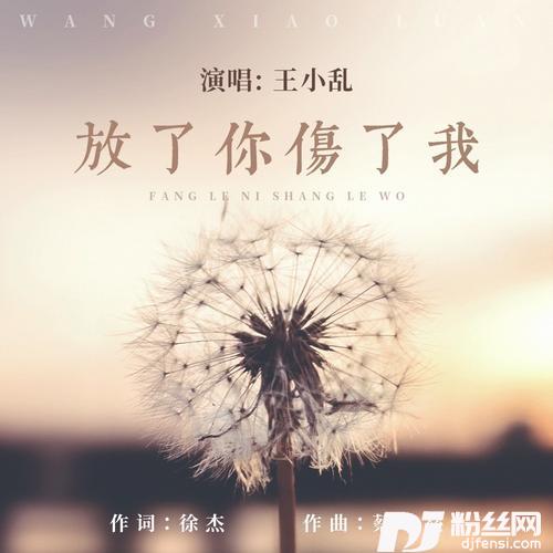 放了你伤了我（DJ何鹏版）