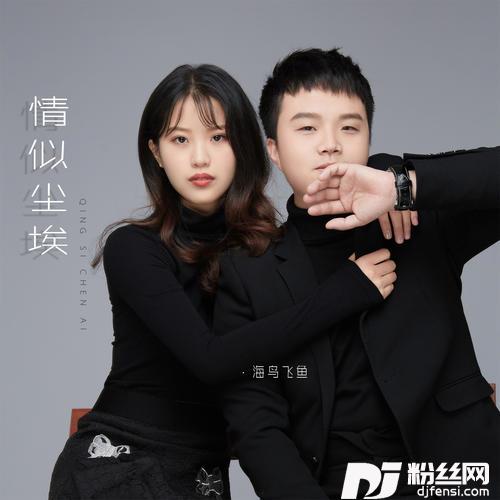 情似尘埃的专辑