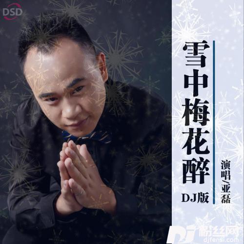 雪中梅花醉（DJ版）