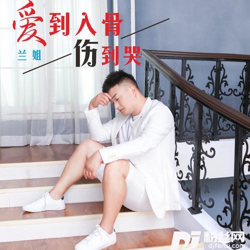 爱到入骨伤到哭DJ沈念版的专辑
