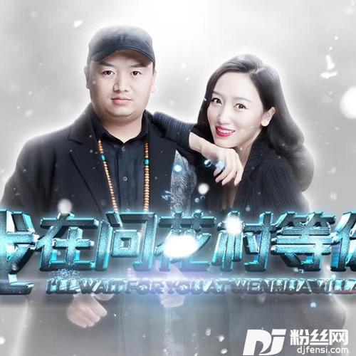 我在问花村等你（舞曲版-并四）的专辑