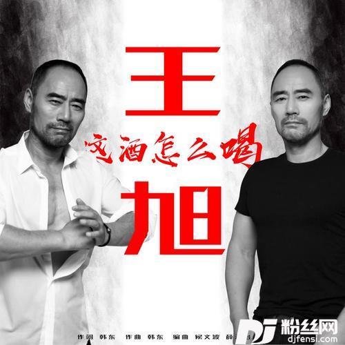 这酒怎么喝的专辑
