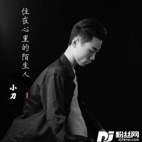 住在心里的陌生人的专辑