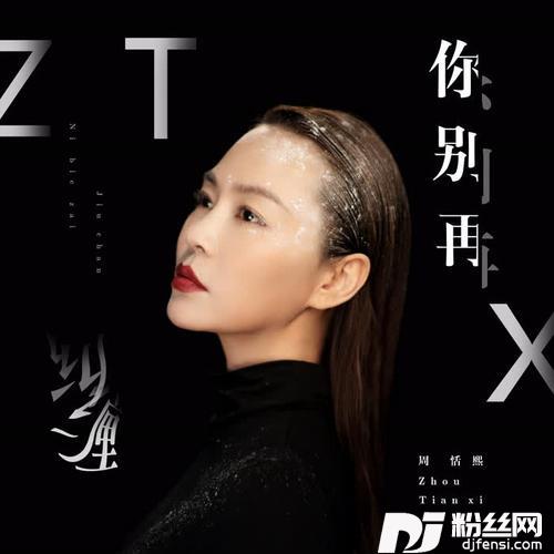 你别再纠缠DJ版的专辑