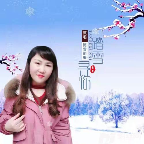 踏雪寻你的专辑