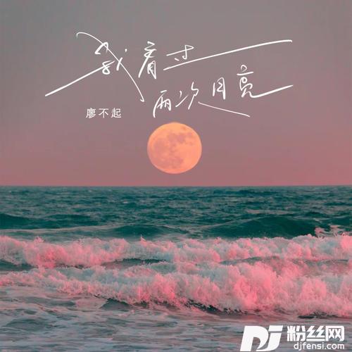 我看过两次月亮DJ版的专辑