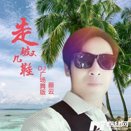 走破几双鞋cover:倪尔萍的专辑