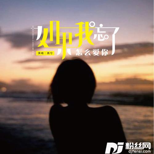 如果我忘了怎么爱你