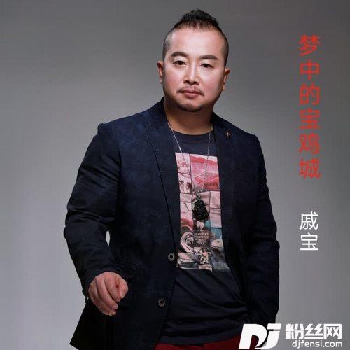梦中的宝鸡城的专辑