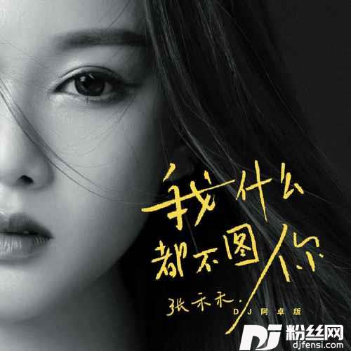 我什么都不图你DJ阿卓版