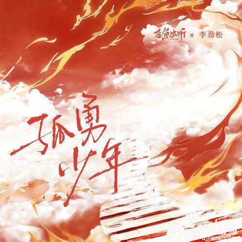 孤勇少年的专辑