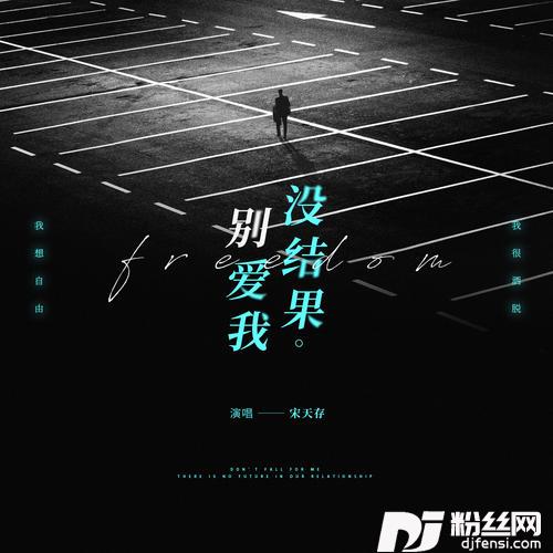 别爱我没结果DJ沈念版