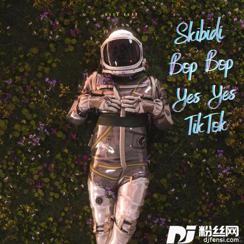 SkibidiBopBopYesYesTikTokRemix的专辑